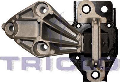 Triclo 365492 - Подушка, опора, подвеска двигателя autodnr.net