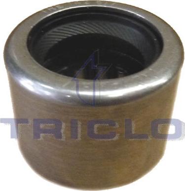 Triclo 625077 - Підшипник, ступінчаста коробка передач autocars.com.ua