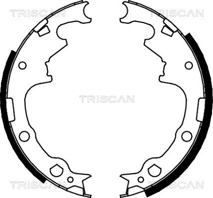 Triscan 8100 10001 - Комплект гальм, барабанний механізм autocars.com.ua