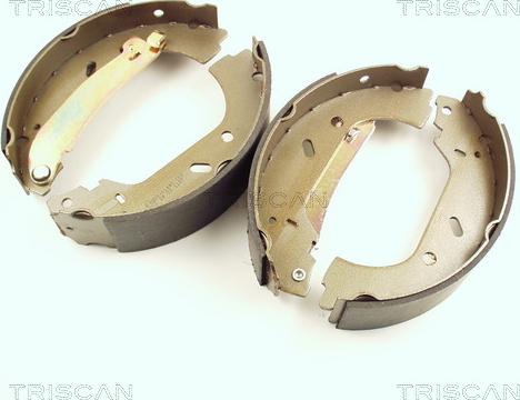 Triscan 8100 10004 - Комплект гальм, барабанний механізм autocars.com.ua