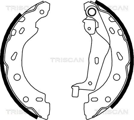 Triscan 8100 10005 - Комплект тормозных колодок, барабанные autodnr.net