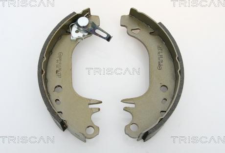 Triscan 8100 10006 - Комплект тормозных колодок, барабанные avtokuzovplus.com.ua