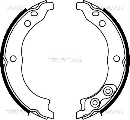 Triscan 8100 10010 - Комплект гальм, ручник, парковка autocars.com.ua