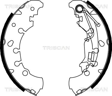 Triscan 8100 10011 - Комплект тормозных колодок, барабанные autodnr.net