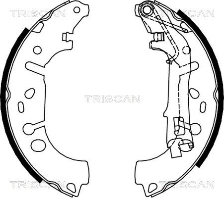 Triscan 8100 10012 - Комплект тормозных колодок, барабанные autodnr.net