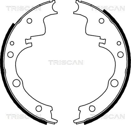 Triscan 8100 10014 - Комплект тормозных колодок, барабанные autodnr.net