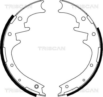 Triscan 8100 10016 - Комплект гальм, барабанний механізм autocars.com.ua