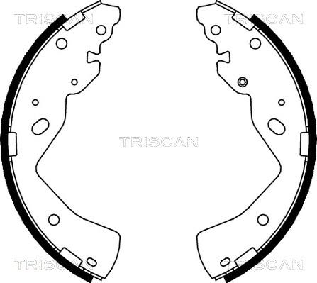 Triscan 8100 10018 - Комплект тормозных колодок, барабанные autodnr.net