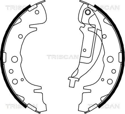 Triscan 8100 10019 - Комплект гальм, барабанний механізм autocars.com.ua