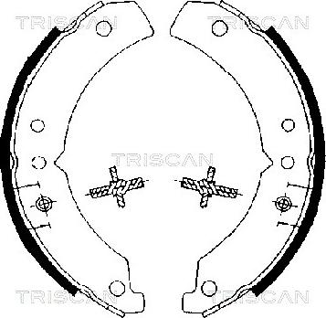 Triscan 8100 10020 - Комплект тормозных колодок, барабанные autodnr.net