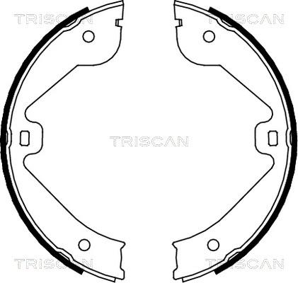 Triscan 8100 10022 - Комплект гальм, барабанний механізм autocars.com.ua