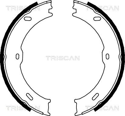 Triscan 8100 10023 - Комплект гальм, барабанний механізм autocars.com.ua