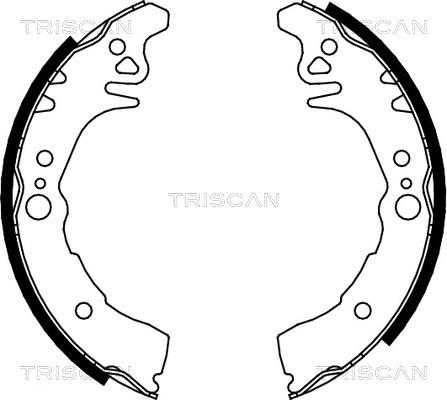 Triscan 8100 10026 - Комплект тормозных колодок, барабанные autodnr.net