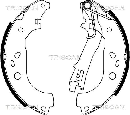 Triscan 8100 10028 - Комплект тормозных колодок, барабанные avtokuzovplus.com.ua