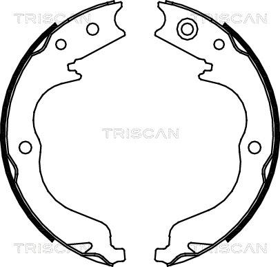Triscan 8100 10029 - Комплект гальм, барабанний механізм autocars.com.ua