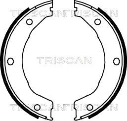 Triscan 8100 10030 - Комплект гальм, ручник, парковка autocars.com.ua