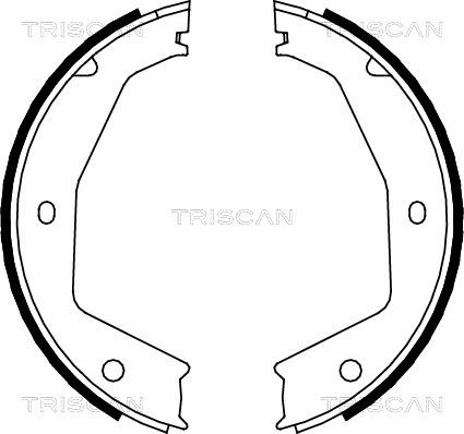 Triscan 8100 10034 - Комплект гальм, ручник, парковка autocars.com.ua