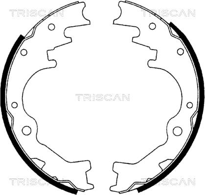 Triscan 8100 10035 - Комплект гальм, барабанний механізм autocars.com.ua