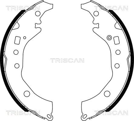 Triscan 8100 10039 - Комплект гальм, барабанний механізм autocars.com.ua