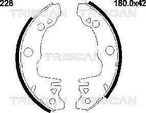 Triscan 8100 10228 - Комплект тормозных колодок, барабанные avtokuzovplus.com.ua