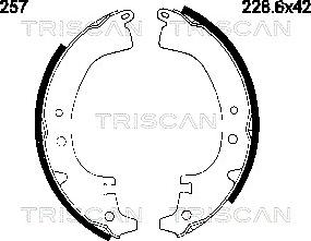 Triscan 8100 10257 - Комплект тормозных колодок, барабанные autodnr.net