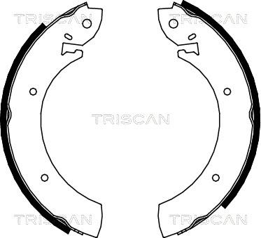 Triscan 8100 10272 - Комплект тормозных колодок, барабанные autodnr.net