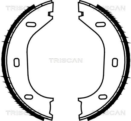 Triscan 8100 10290 - Комплект гальм, ручник, парковка autocars.com.ua