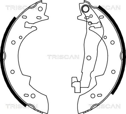 Triscan 8100 10307 - Комплект тормозных колодок, барабанные autodnr.net