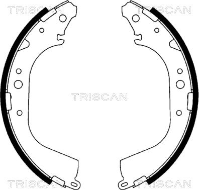 Triscan 8100 10519 - Комплект тормозных колодок, барабанные autodnr.net