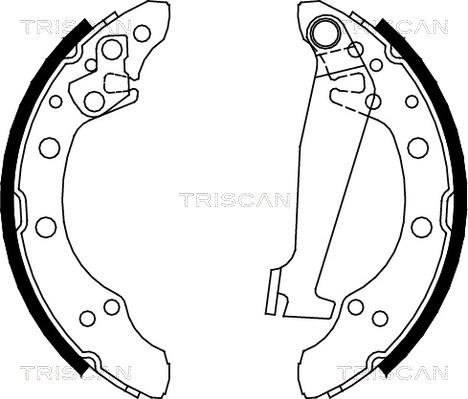 Triscan 8100 10520 - Комплект тормозных колодок, барабанные autodnr.net