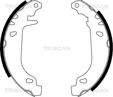 Triscan 8100 10545 - Комплект тормозных колодок, барабанные avtokuzovplus.com.ua
