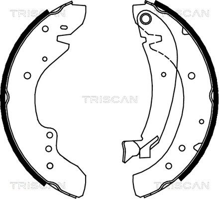 Triscan 8100 10573 - Комплект гальм, барабанний механізм autocars.com.ua