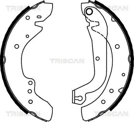 Triscan 8100 10577 - Комплект тормозных колодок, барабанные autodnr.net