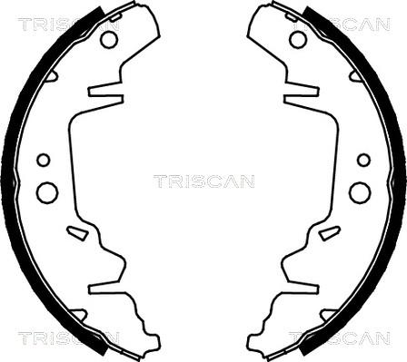Triscan 8100 10593 - Комплект гальм, барабанний механізм autocars.com.ua