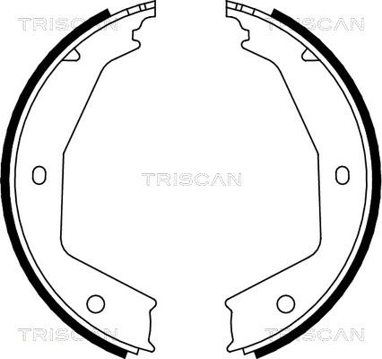 Triscan 8100 10629 - Комплект гальм, ручник, парковка autocars.com.ua