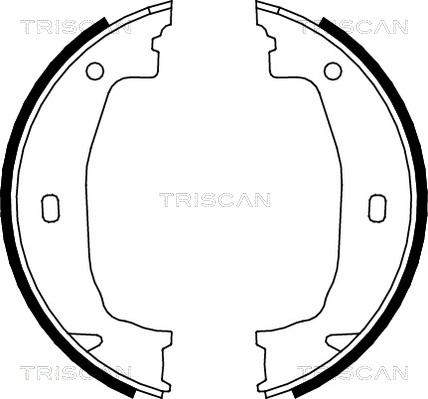 Triscan 8100 11011 - Комплект тормозных колодок, барабанные autodnr.net