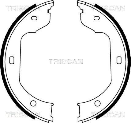 Triscan 8100 11012 - Комплект тормозных колодок, барабанные avtokuzovplus.com.ua