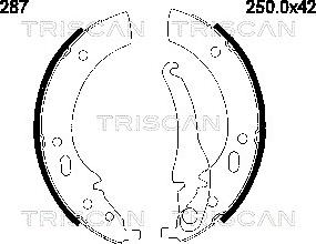 Triscan 8100 11287 - Комплект тормозных колодок, барабанные autodnr.net