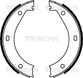 Triscan 8100 11415 - Комплект гальм, ручник, парковка autocars.com.ua