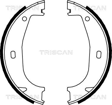 Triscan 8100 11553 - Комплект гальм, ручник, парковка autocars.com.ua