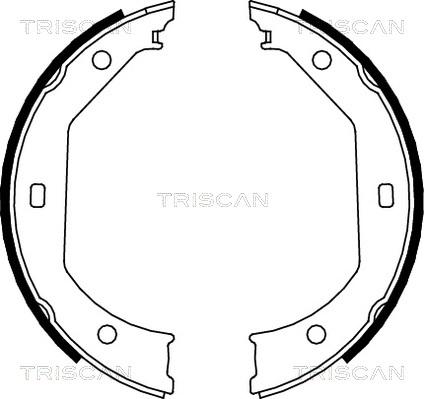Triscan 8100 11638 - Комплект тормозных колодок, барабанные avtokuzovplus.com.ua