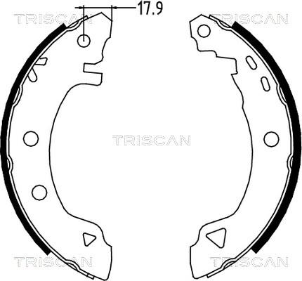 Triscan 8100 12523 - Комплект тормозных колодок, барабанные autodnr.net