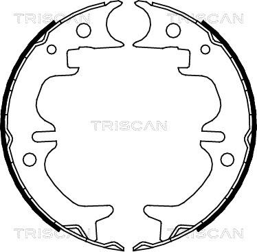 Triscan 8100 13030 - Комплект тормозов, ручник, парковка avtokuzovplus.com.ua