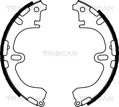 Triscan 8100 13032 - Комплект тормозных колодок, барабанные autodnr.net