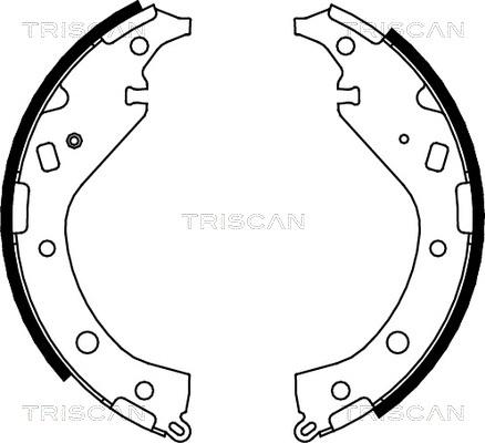 Triscan 8100 13034 - Комплект тормозных колодок, барабанные avtokuzovplus.com.ua