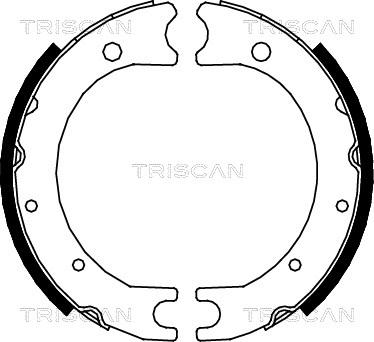 Triscan 8100 13036 - Комплект гальм, ручник, парковка autocars.com.ua