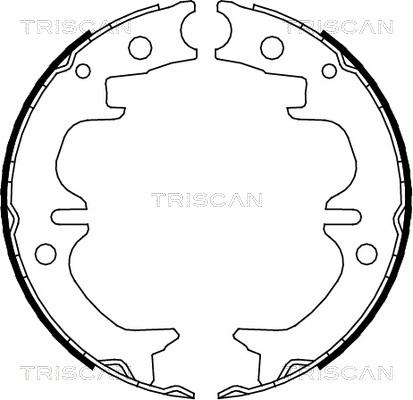 Triscan 8100 13038 - Комплект гальм, ручник, парковка autocars.com.ua