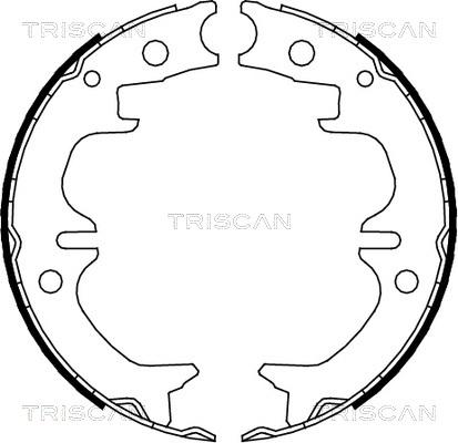 Triscan 8100 13038 - Комплект тормозов, ручник, парковка avtokuzovplus.com.ua