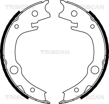 Triscan 8100 13039 - Комплект тормозов, ручник, парковка avtokuzovplus.com.ua