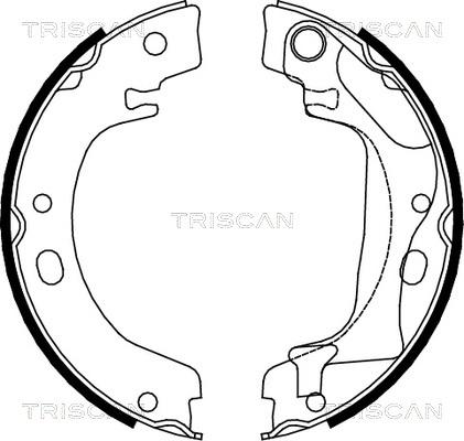 Triscan 8100 13041 - Комплект гальм, ручник, парковка autocars.com.ua